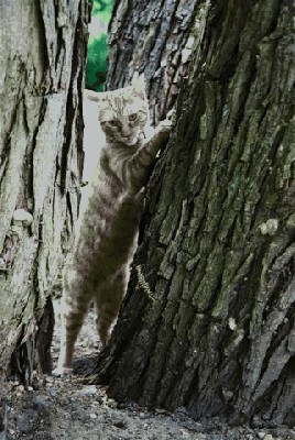 F1000020 (Small).JPG