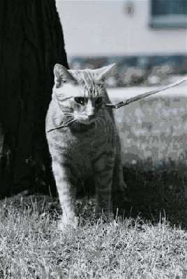 F1000019 (Small).JPG