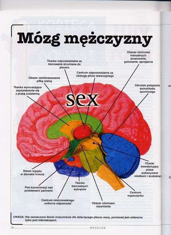 M.jpg